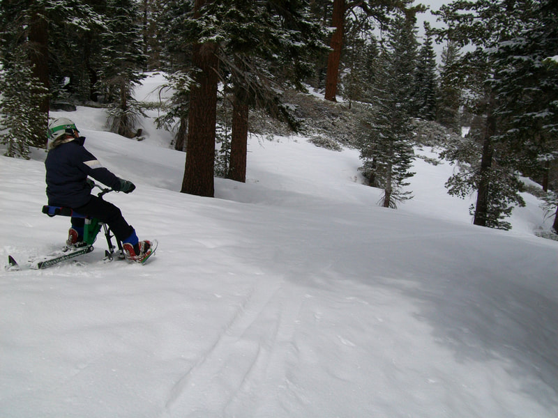 An adaptive ski biker enters the Stagecoach Woods on her iSkibike on the Nevada side of the Heavenly Mountain Resort.